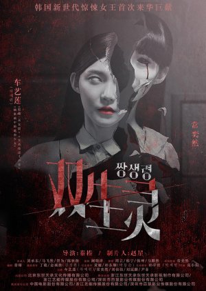 Twin Spirit (2015) poster