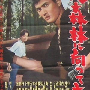 Daishinrin ni Mukatte Tatsu (1961)