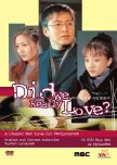 Did We Really Love? korean drama review