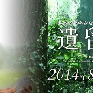 Kamisama no Boto  (2013)