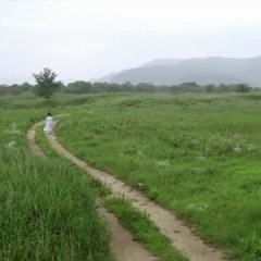 The Jingbirok: A Memoir of Imjin War (2015) photo