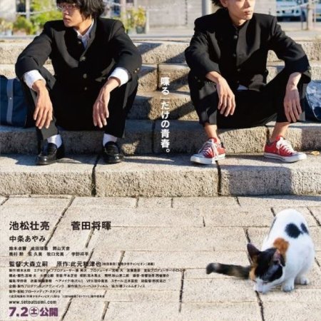 Kamisama no Boto  (2013)