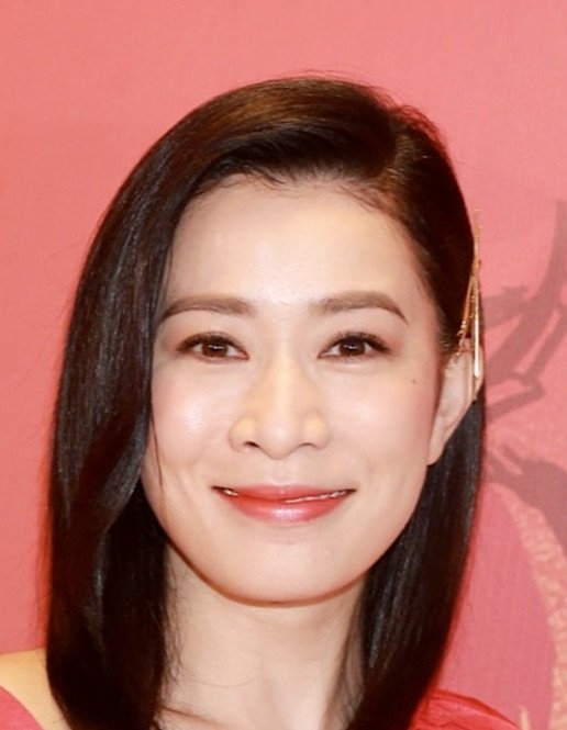 She an actor. Чармейн ше. Charmaine Sheh / 佘詩曼 (佘诗曼) / Sheh Sze man (she Shi man).