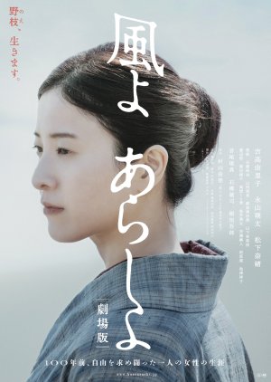 Kazeyo Arashi yo Gekijo Ban (2024) poster