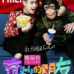 Wonderful Friends Chinese TV Program(2015) photo