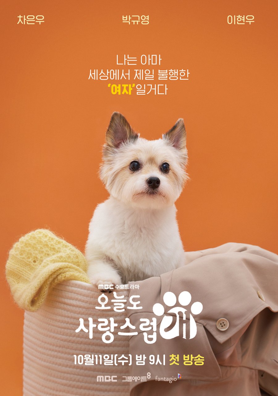 A Good Day To Be A Dog Photos 4326073 MyDramaList