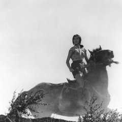 The Hidden Fortress Japanese Movie photo