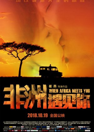 When Africa Meets You (2018) poster
