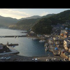 Cafune Japanese Movie(2023) photo