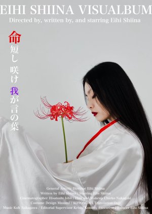 Eihi Shiina Visualbum (2024) poster