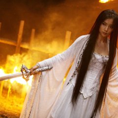 The Forbidden Kingdom Chinese Movie photo