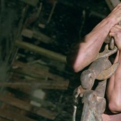 Crying Freeman Japanese Movie photo