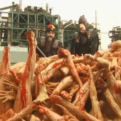 Tokyo Gore Police Japanese Movie photo