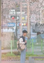 Romance Supplement Korean Drama photo