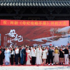 Consort Strategy Manual Chinese Drama photo