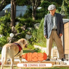Dog Knows Everything Korean Drama photo