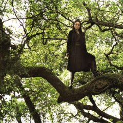 The Assassin Taiwanese Movie(2015) photo