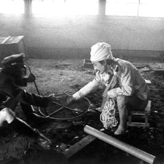 The War of Jan-Ken-Pon Japanese Movie photo