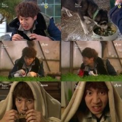 Bachelor's Vegetable Store Korean Drama photo