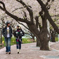 Hello Stranger Thai Movie photo