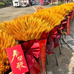 Chun Gui Sha Chinese Drama photo