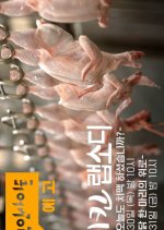 Chicken Rhapsody Korean TV Program photo