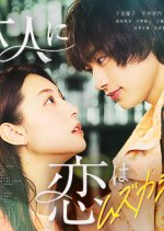 Otona ni Koi wa Muzukashii Japanese Drama photo