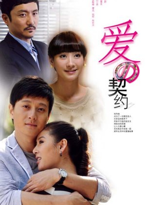 The Contract of Love (2013) poster