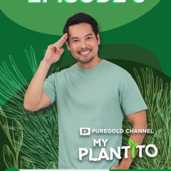 My Plantito Philippines Drama photo