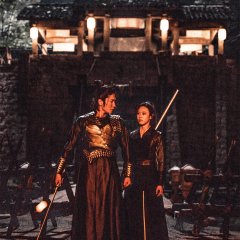 The Plot of Fire Chinese Movie photo