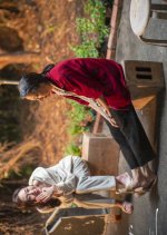 Raindrops on the Flower