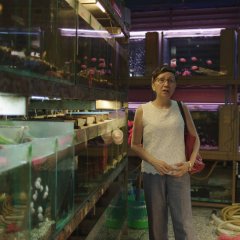 3 Days 2 Nights Taiwanese Movie photo