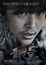 Wild Dogs Korean Movie photo