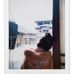 Love Like the Galaxy: Part 2 (2022) photo