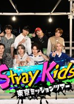 Stray Kids Tokyo Mission Tour