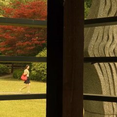 Natalie Korean Movie(2010) photo