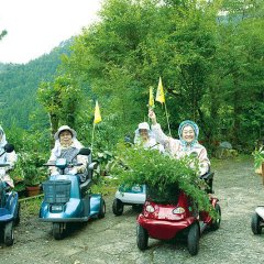 Jinsei, Irodori Japanese Movie photo