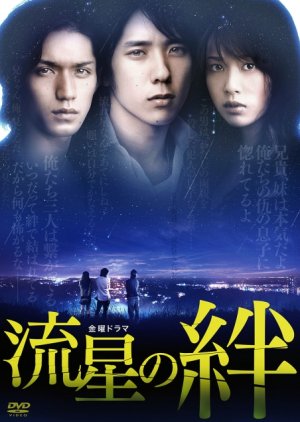 Ryusei no Kizuna (2008) poster