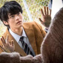 The Land Beyond the Starry Sky Japanese Movie photo