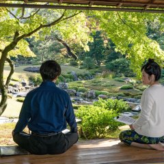 Musicophilia Japanese Movie photo