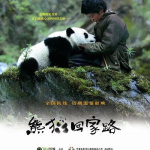 Trail of the Panda (2009)