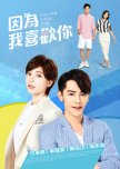 Falling Into You taiwanese drama review