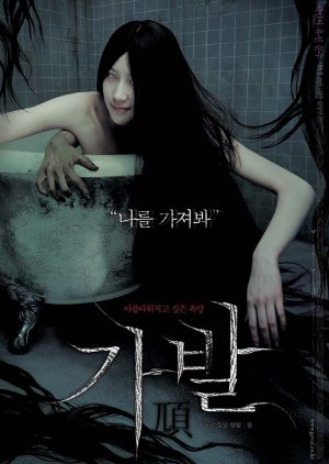 The Wig (2005) poster