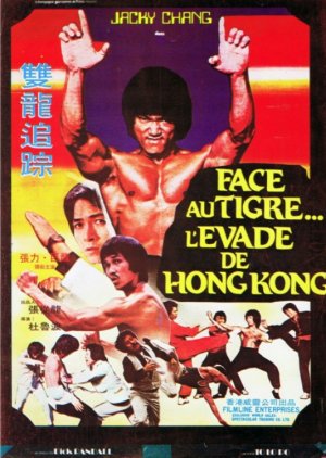 Bruce Lee's Dragons Fight Back (1985) poster