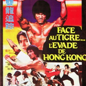 Bruce Lee's Dragons Fight Back (1985)
