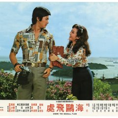 Where the Seagull Flies Taiwanese Movie photo