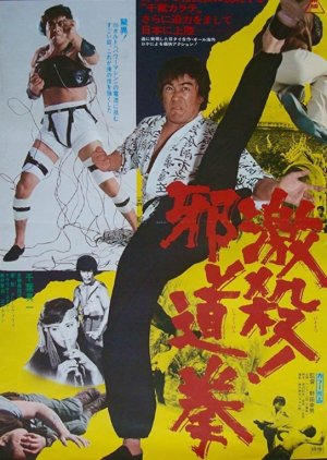 Soul of Bruce Lee (1977) poster