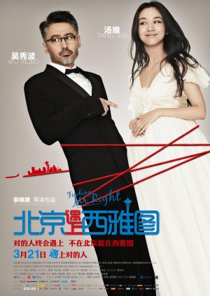 Finding Mr. Right (2013) poster