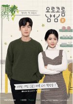 Yum Yum, How Tasty! 2 Korean Drama photo