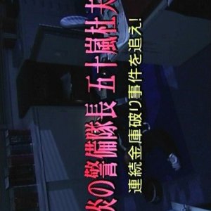 Hono no Keibitaicho Igarashi Morio 1: Renzoku Kinko Yaburi Jiken wo Oe! (2003)